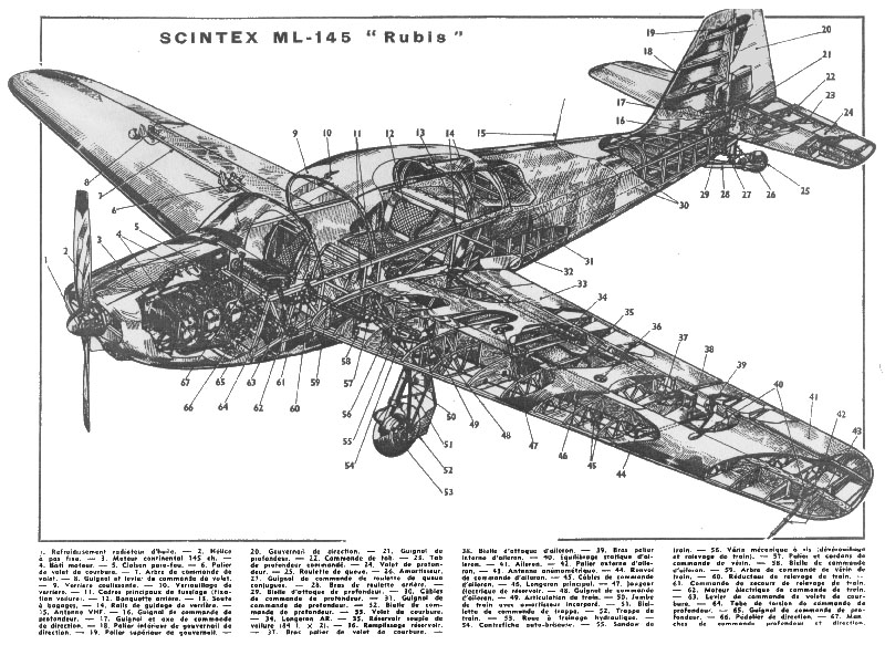 Ecorche_Scintex_ML_250_Rubis 001-s.jpg