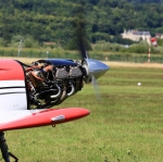 Filename=Saphir_SL_55.JPG
Filesize=954KB
Dimensions=1280x1279
Date added=Aug 13, 2019 Saphir_SL_55.JPG